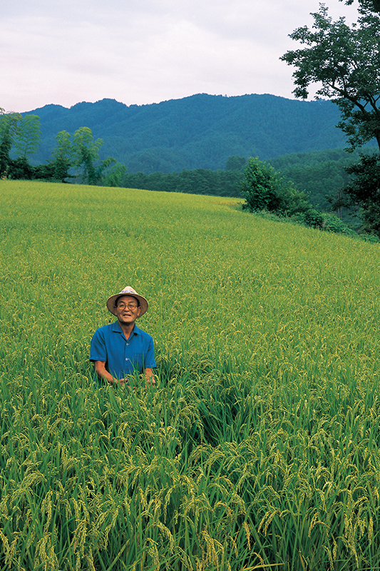 【長野県産コシヒカリ】伊東陽一郎さん作 アイガモ農法のお米