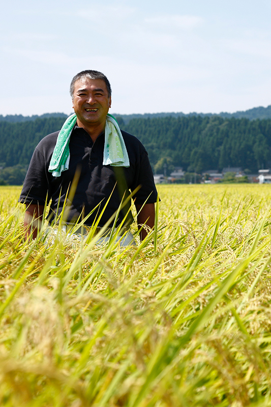 【新潟県産コシヒカリ 】小池敏雄さん作 減農薬・有機質肥料100%で育てたコシヒカリ
