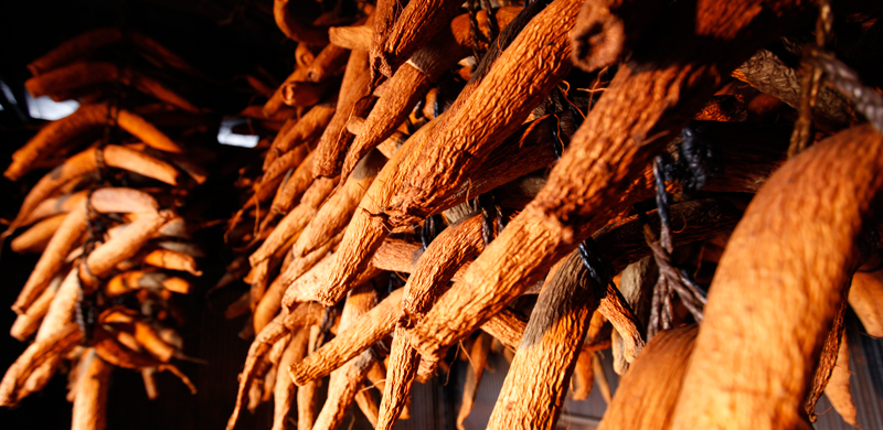 雪国の伝統漬物「いぶりがっこ」代々伝わる昔ながらの燻煙乾燥、　　無添加で作ったいぶりがっこはとても稀少です。