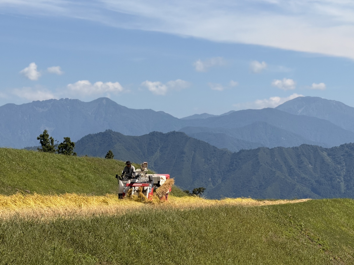 【南魚沼産コシヒカリ】減農薬・有機肥料栽培  清流育ちのコシヒカリ