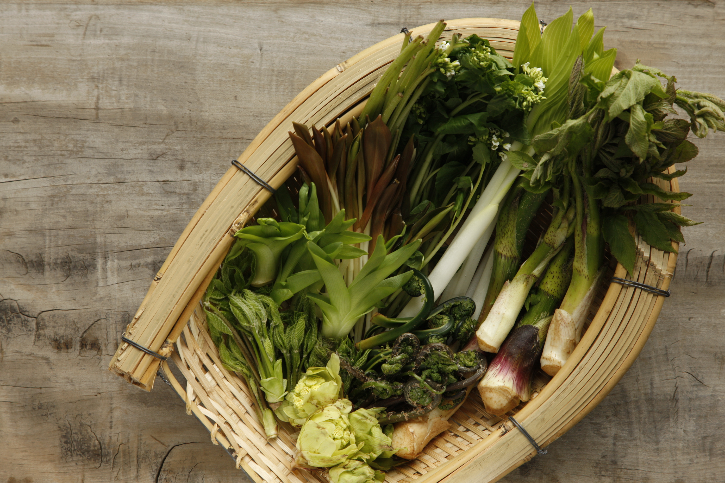【4月中旬頃発送】雪国・越後の春の恵み「深山の天然山菜セット」