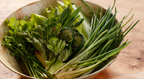 雪の下で育まれた、今や貴重な“天然”の山菜。自然の恵みで免疫力アップ&デトックスしませんか