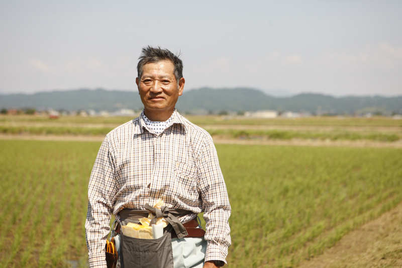 【新潟県産コシヒカリ】中村和雄さん作　減農薬8割減・有機質肥料100%で育てたコシヒカリ