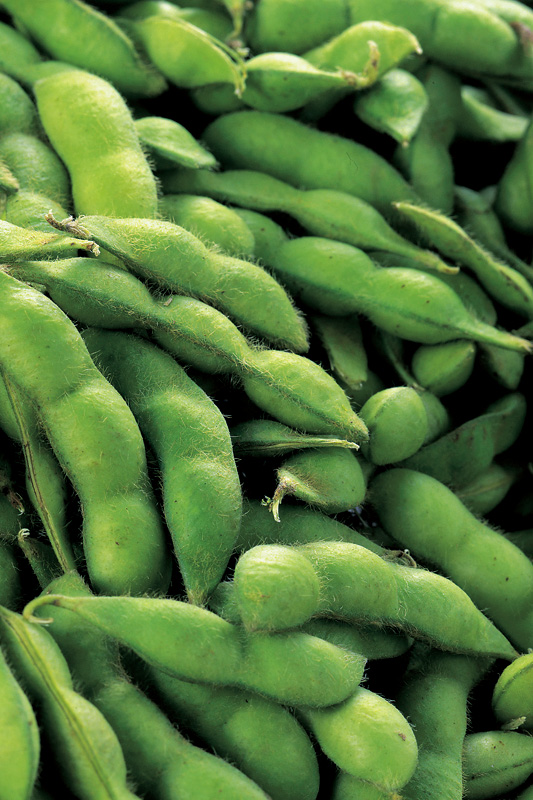 【4回お届け便】夏の定番! 「朝採り新鮮 宮本さんの茶豆(枝豆)」1.2kg×4品種