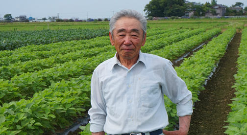 【4回お届け便】夏の定番! 「朝採り新鮮 宮本さんの茶豆(枝豆)」1.2kg×4品種
