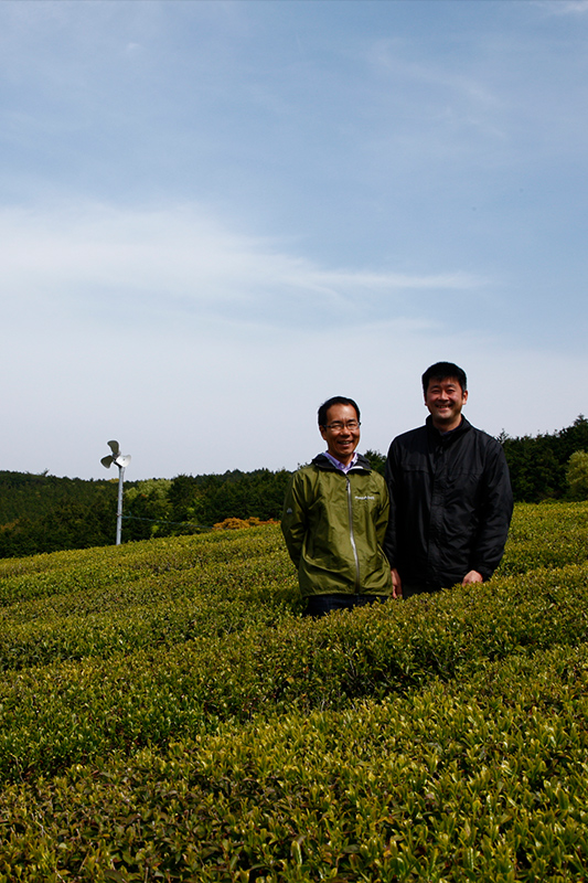 熊本県産 桜野園・ひいじいちゃんが植えたむかし茶　80g