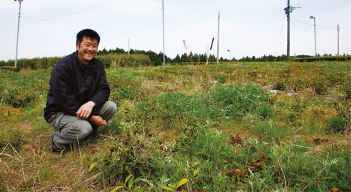 熊本県産　無農薬・無化学肥料栽培「桜野園・一福ほうじ茶」