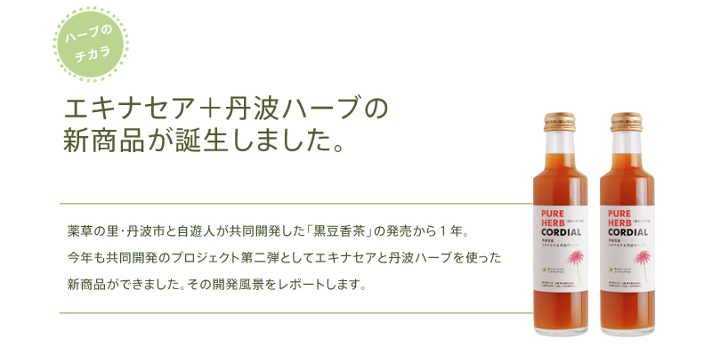 インフルエンザ予防や花粉症対策に欧米で人気のハーブ「エキナセア」