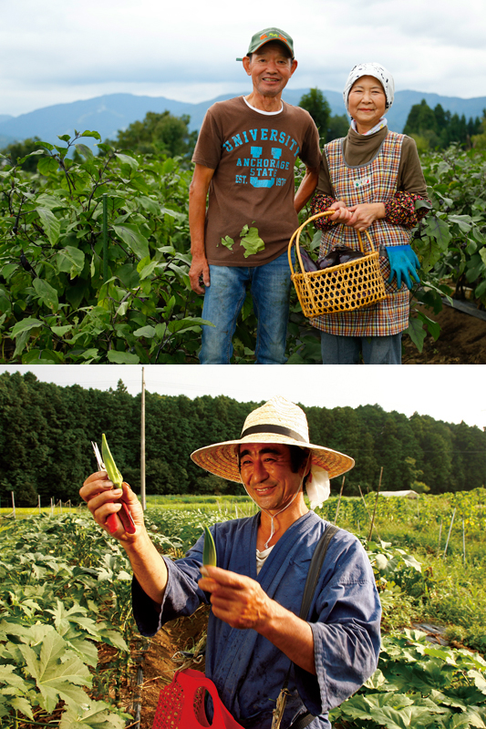 オーガニック・無農薬で育てた野菜セット