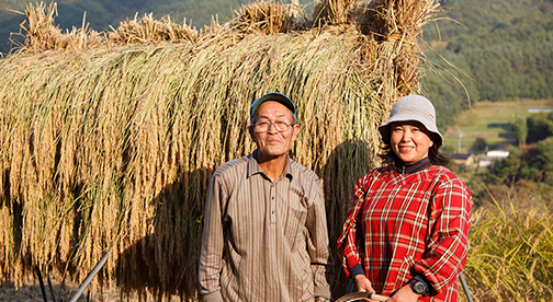 【長野県産コシヒカリ】金賞受賞伊東陽一郎さん作 減農薬・有機質肥料100%のお米