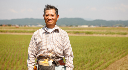 【新潟県産コシヒカリ】中村和雄さん作　減農薬8割減・有機質肥料100%で育てたコシヒカリ
