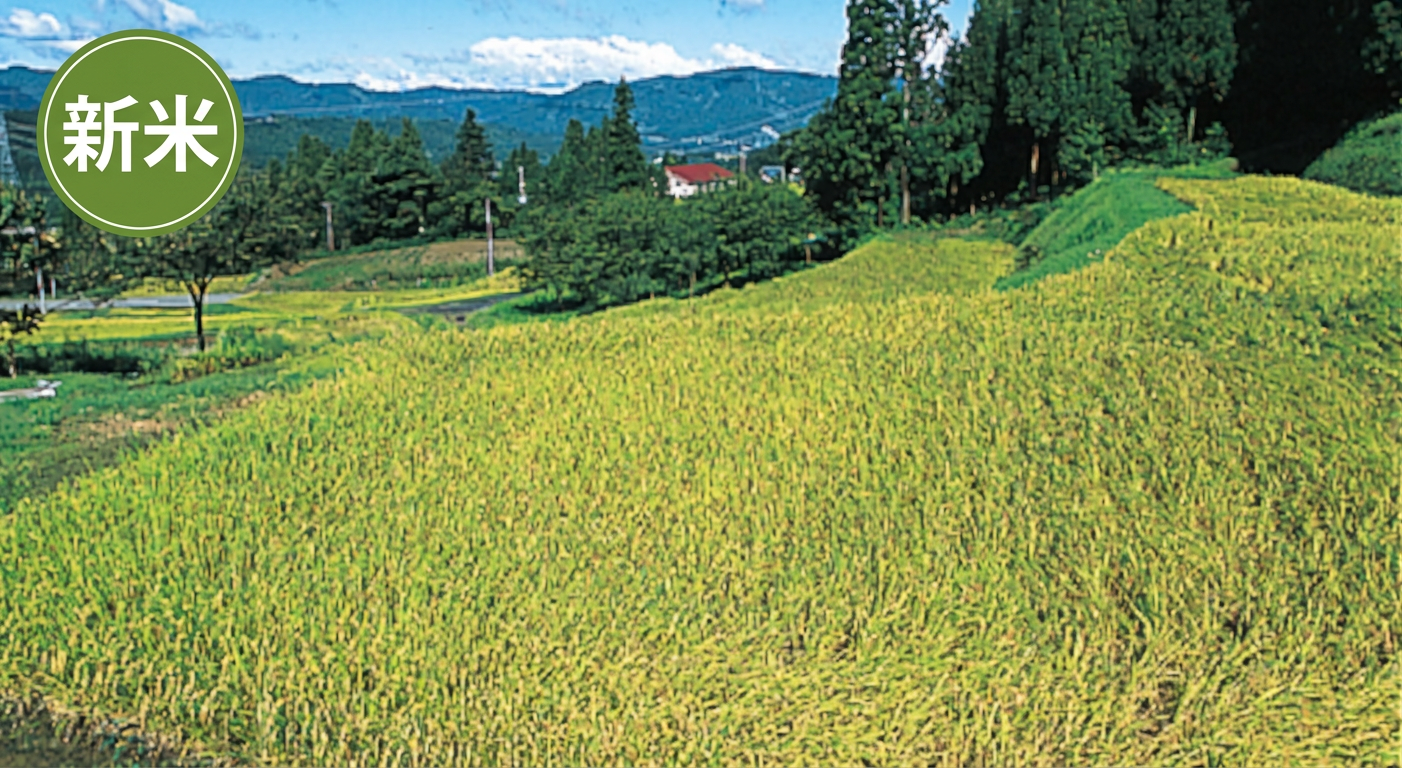 【南魚沼産コシヒカリ】西山地区限定　新潟・魚沼産コシヒカリ