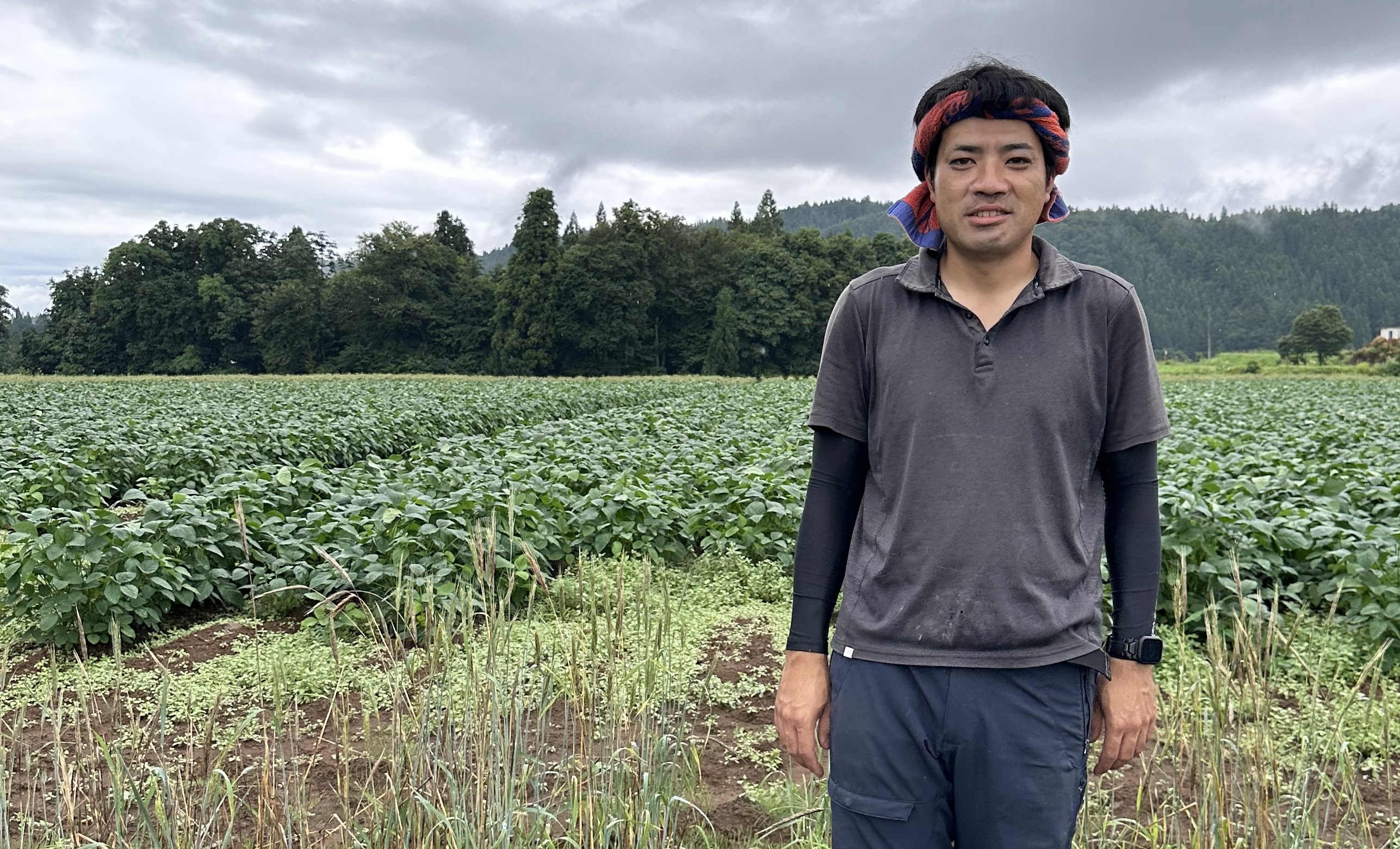 夏の定番! 美味しさにとまらなくなる「金子さんの茶豆(枝豆)」