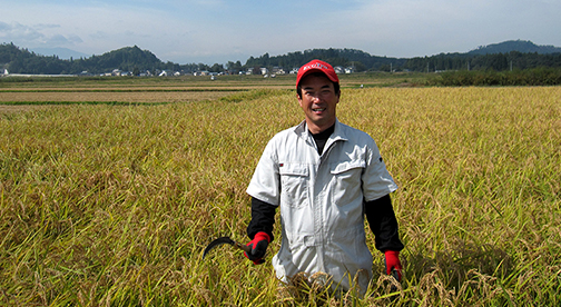 【山形県産コシヒカリ】遠藤五一さんたち作 有機JAS認証のコシヒカリ