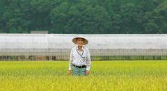 【長野県産コシヒカリ】金賞受賞 鈴木和夫さん作 減農薬・有機質肥料100%のお米