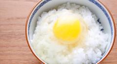 橋本さんの平飼い卵(20個入)