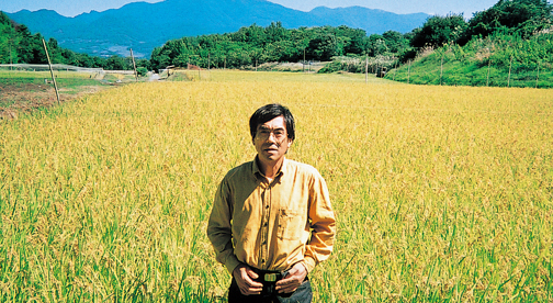 【長野県産コシヒカリ】特別優秀賞受賞 金井良光さん作 減農薬 天日干しのコシヒカリ