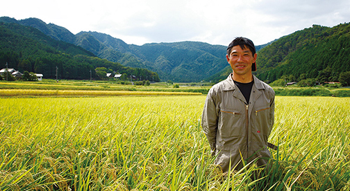 【兵庫県産コシヒカリ】高見康彦さん作　無農薬で栽培したコシヒカリ