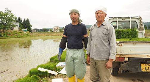 【十日町産魚沼コシヒカリ】羽鳥寛平さん作　無農薬で栽培した魚沼産コシヒカリ