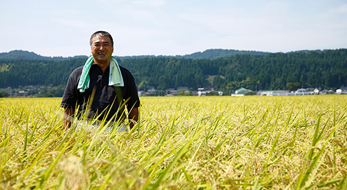 【新潟県産コシヒカリ 】小池敏雄さん作 減農薬・有機質肥料100%で育てたコシヒカリ