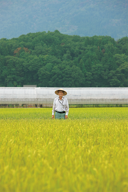 【長野県産コシヒカリ】金賞受賞 鈴木和夫さん作 減農薬・有機質肥料100%のお米