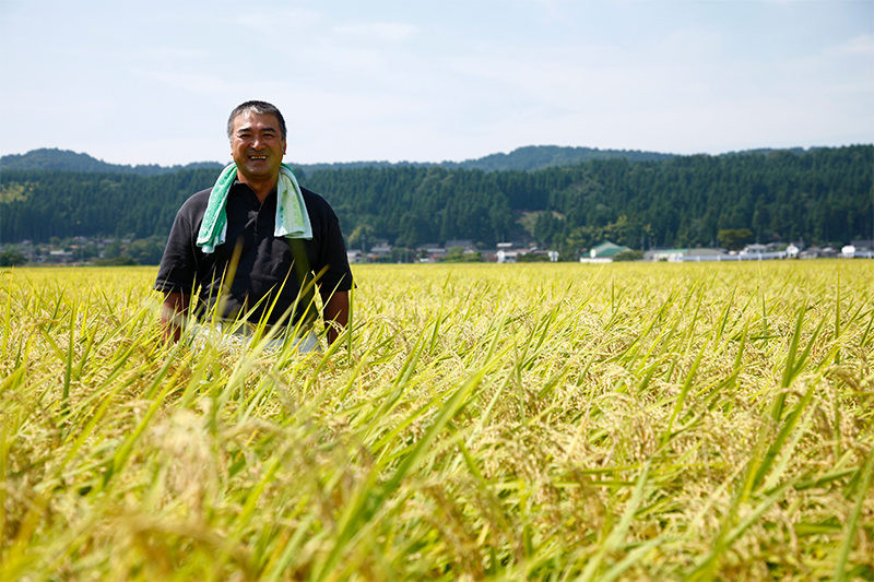【新潟県産コシヒカリ 】小池敏雄さん作 減農薬・有機質肥料100%で育てたコシヒカリ