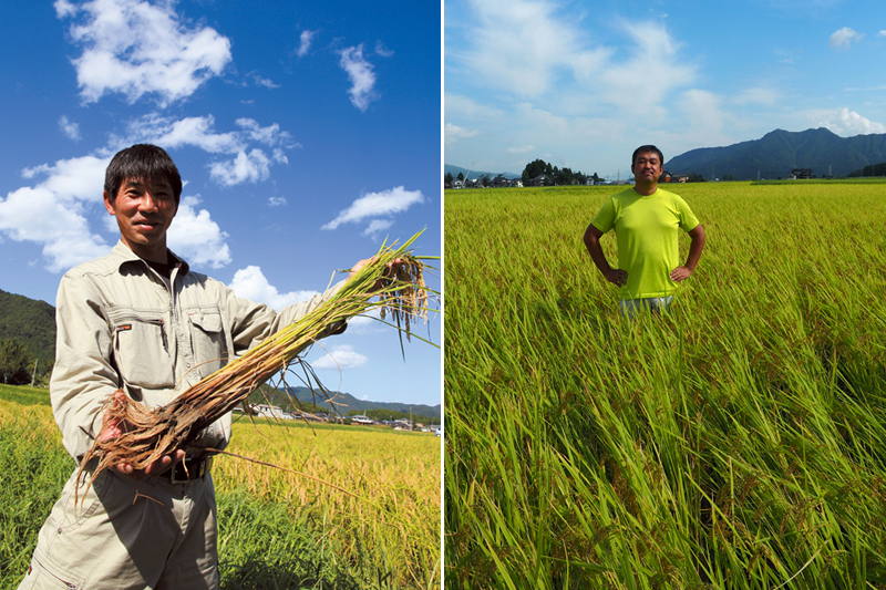 無農薬米、魚沼産有機栽培米など全国のオーガニックのお米を厳選　「自然栽培のお米コース」