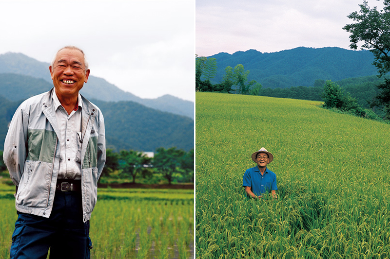 無農薬米、魚沼産有機栽培米など全国のオーガニックのお米を厳選　「自然栽培のお米コース」