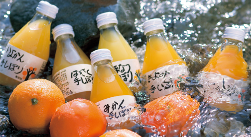 柑橘ジュース飲み比べセット