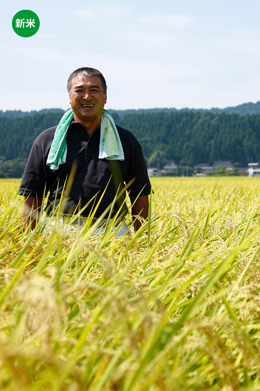 【新潟県産コシヒカリ 】小池敏雄さん作 減農薬・有機質肥料100%で育てたコシヒカリ
