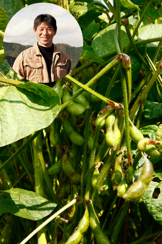 有機栽培で育てた高見さんたちの丹波産黒大豆の枝豆「丹波黒」