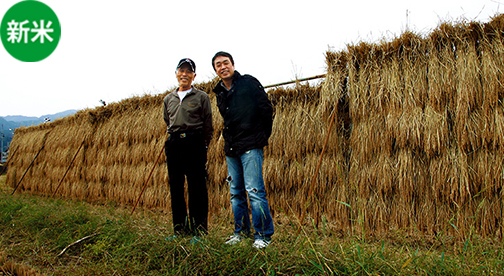 【南魚沼産コシヒカリ】ホタルのいる田んぼ限定鈴木清さん作 日本一のコシヒカリ 雪室貯蔵米　特撰　