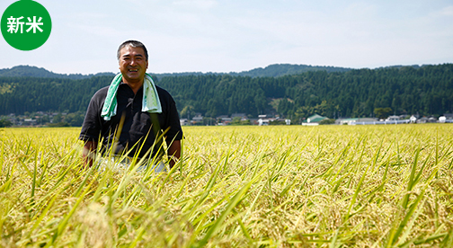 【新潟県産コシヒカリ 】小池敏雄さん作 減農薬・有機質肥料100%で育てたコシヒカリ