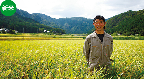 【兵庫県産コシヒカリ】高見康彦さん作　無農薬で栽培したコシヒカリ