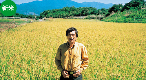 【長野県産コシヒカリ】特別優秀賞受賞 金井良光さん作 減農薬 天日干しのコシヒカリ