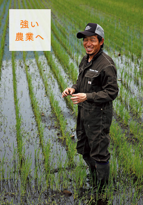 減農薬・減化学肥料の特別栽培コシヒカリ 内田智也さんのお米